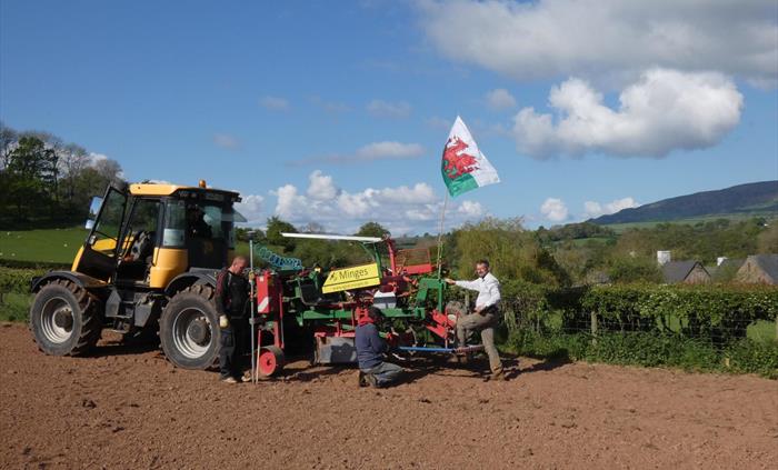 New vines being planted May 2019